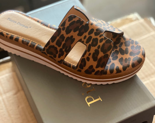 Pierre Dumas Portal-1