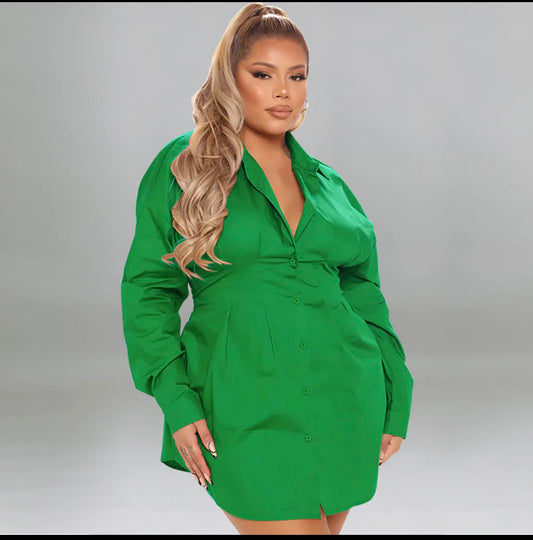 Long Sleeve Button Dwn Shrt Dres-Green