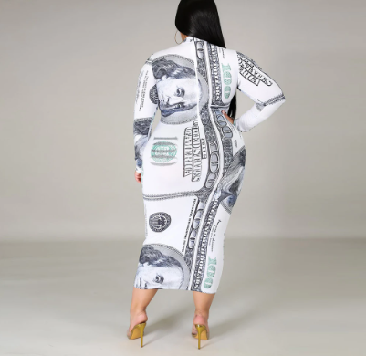 Long Sleeve $100 Dollar Dress