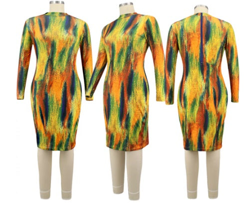 BodyCon Multi Color Dress